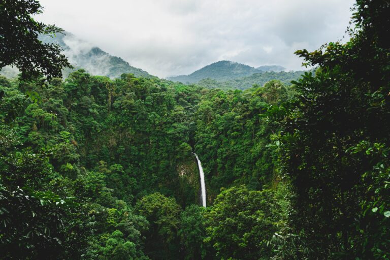 Le Costa Rica se retire de l’accord de l’ONU sur le climat
