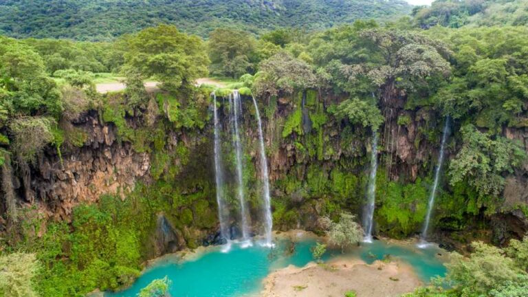 Oman Air et la saison d'automne à Salalah