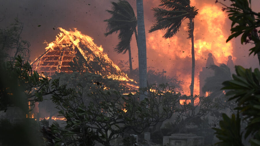 Hawaii - incendies de forêts 2023