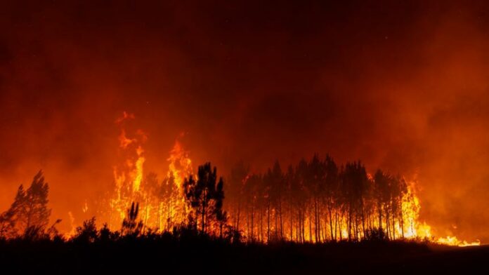 L'Ouest canadien connaît les pires incendies de forêt de son histoire