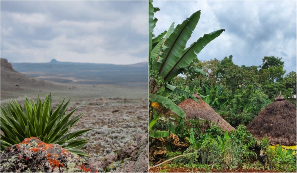 Parc national des monts Bale (à gauche) Paysage culturel de Gedeo (à droite) (Photo : Visit Oromia, Éthiopie/Facebook)