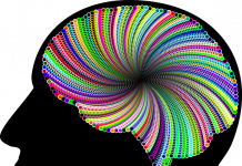 Pérou l'ayahuasca, ou le tourisme de la connaissance de soi