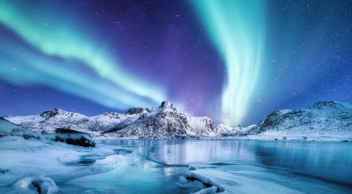 Trois expéditions polaires à découvrir avec 66° Nord