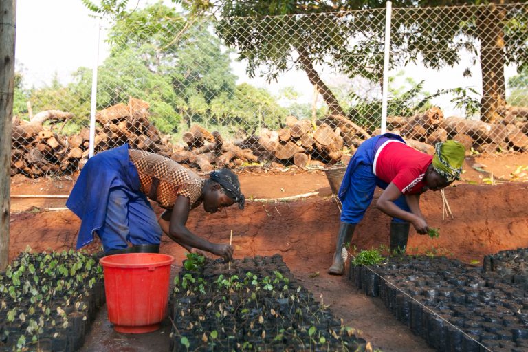 La TUI Care Foundation lance un projet en Zambie 