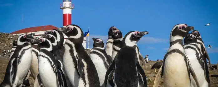 Important séisme au sud de l’Argentine et du Chili