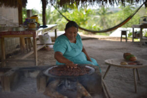 Expériences chocolatées au Belize