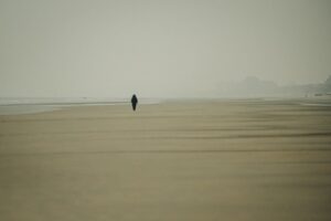 Quand les voyageurs solitaires découvrent le monde...