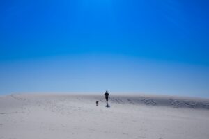 Quand les voyageurs solitaires découvrent le monde...
