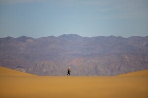 Quand les voyageurs solitaires découvrent le monde...