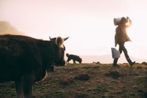 TUI Care foundation: un laboratoire du tourisme durable au Portugal