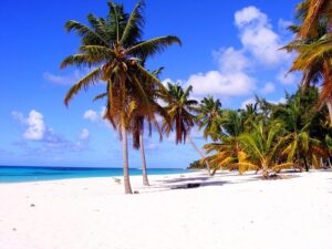 La Dominique - île Nature