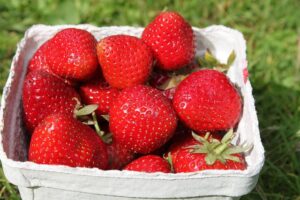 La douce lenteur de l’été suédois