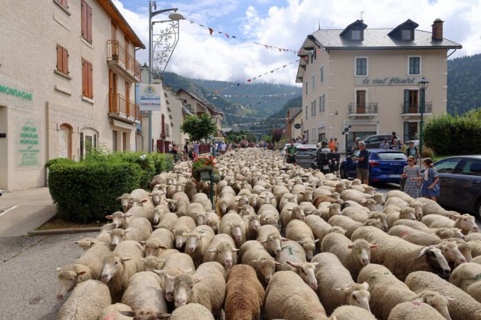 Le Vercors fête les alpages