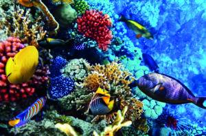 Oman, terre d’aventure: 5 expériences intenses à découvrir