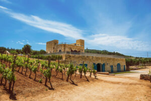 Vignobles de Malte: dégustations privées et circuits œnologiques