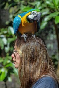 Costa Rica: une baisse inquiétante du nombre de touristes