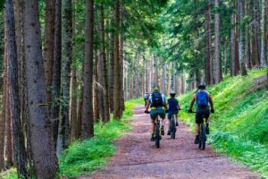 Hautes-Vosges, un été en pleine nature