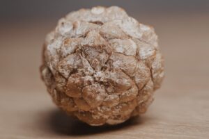 La truffe blanche