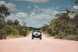 Afrique du Sud: un road trip grandeur nature