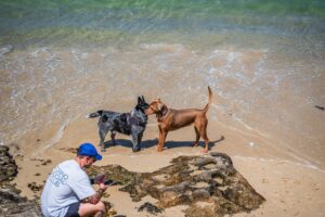 "Pet-friendly”: 34 % des Français prévoient leurs vacances en fonction de leur chien