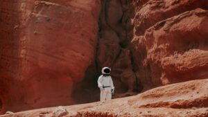 Entre terre et ciel, une nouvelle filière économique?