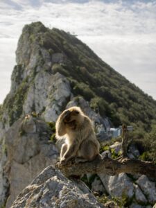 Gibraltar: le territoire britannique réintègre l’Europe