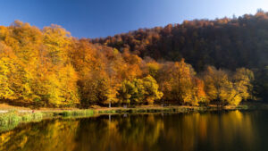 Parc national de Dilijan. ©Armenia Travel