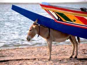 Sénégal