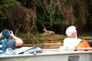 Brésil: l’Amazonie et le Pantanal remportent des prix internationaux