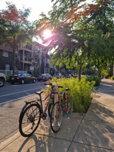 Le Plateau-Mont-Royal de Montréal classé parmi les quartiers les plus « cool » du monde