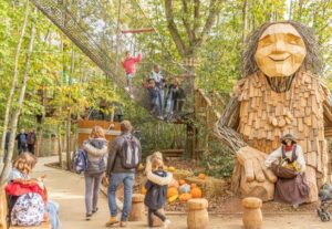 15 idées de sorties du Saumurois à Angers, en passant par la côte vendéenne