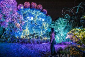 15 idées de sorties du Saumurois à Angers, en passant par la côte vendéenne