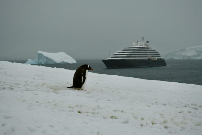 Tendances et défis des croisières en Antarctique