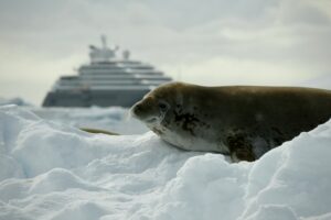Tendances et défis des croisières en Antarctique