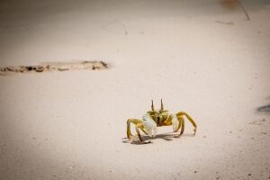 Kuoni: séjour à l’hôtel Ananea Madivaru Maldives
