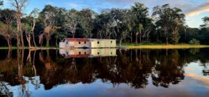 La forêt amazonienne défie le changement climatique