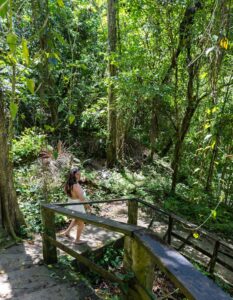 Amazonie: un sentier de randonnée de 468 km à travers la forêt