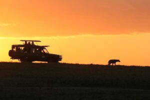 Les plus belles destinations d’Afrique, selon le Safari Index