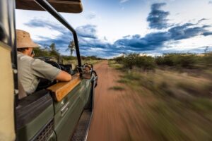 Les plus belles destinations d’Afrique, selon le Safari Index