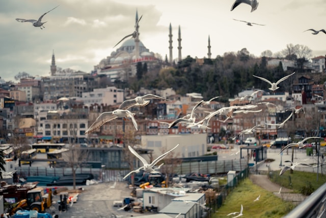 Turquie: un séisme ressenti à Istanbul et Izmir Turquie: un séisme ressenti à Istanbul et Izmir