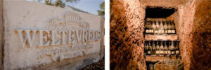 Weltevrede Wine Estate