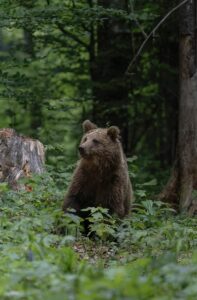 Slovénie: les nouveautés pour 2026