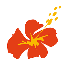 Air Calin augmente les fréquences pour les fêtes de fin d'année