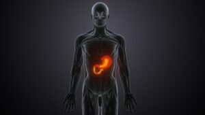 Problèmes d'hépatite dans les stations balnéaires de République Tchèque