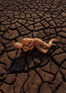 Le tourisme de la dernière chance ou l'attrait morbide de la disparition