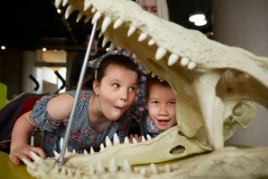 Exposition au musée national d’Écosse Édimbourg - © VisitScotland Peter Dibdin