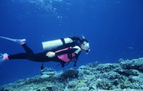 Japon: l'archipel d'Okinawa au Salon de la plongée 2026