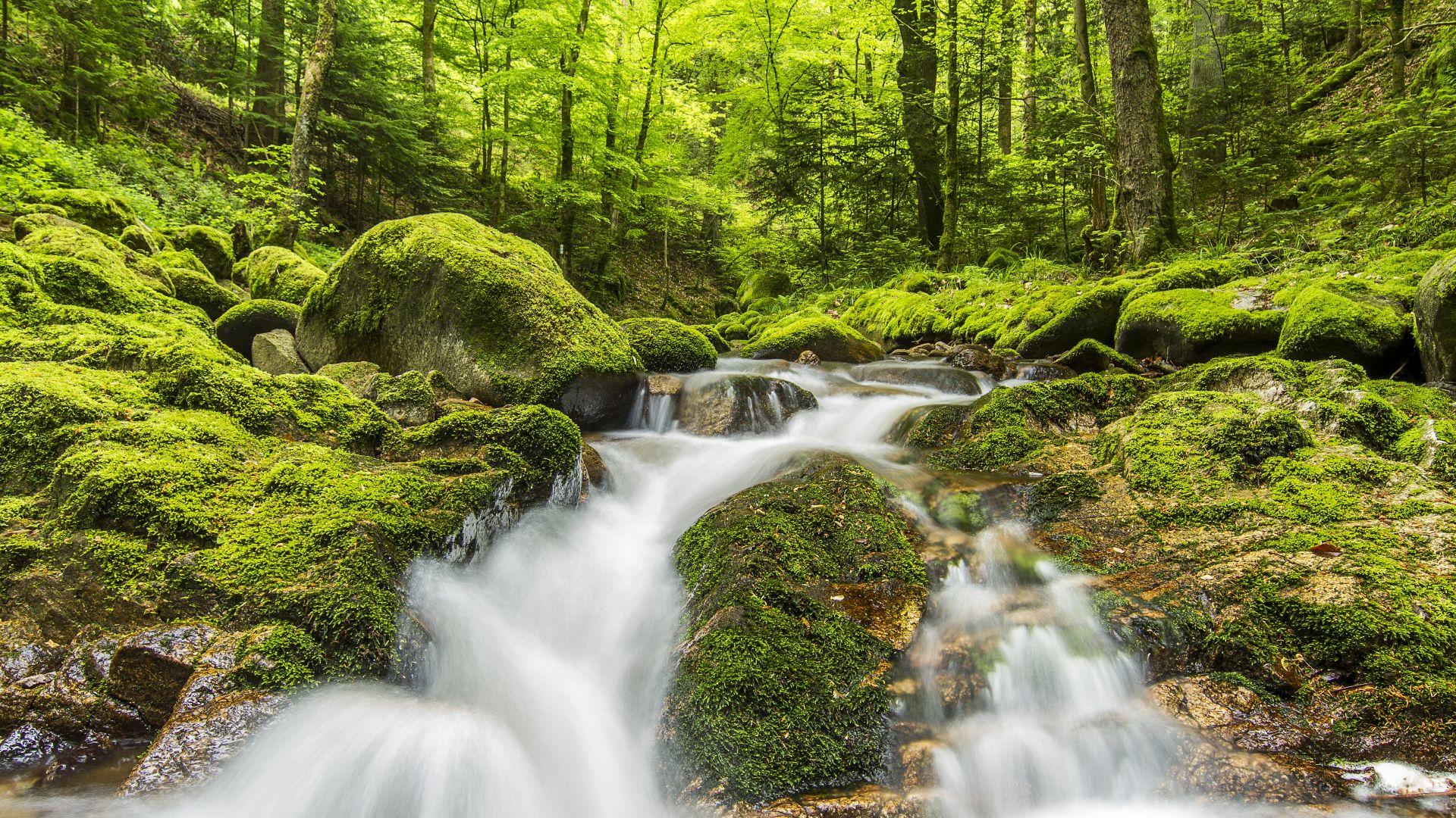 Cascade Geroldsauer - Baden-Baden (Bade-Wurtemberg)