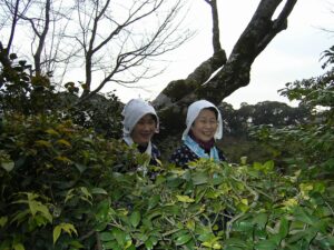 Jardinières à Tokyo - @ herve.ducruet