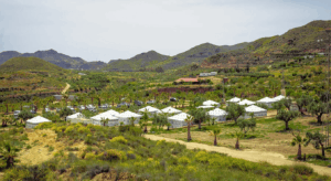 Oasis Al Hamam - Espagne